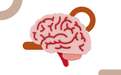 Neuroplasticidad aplicada al aprendizaje: entrenar el cerebro para aprender más rápido